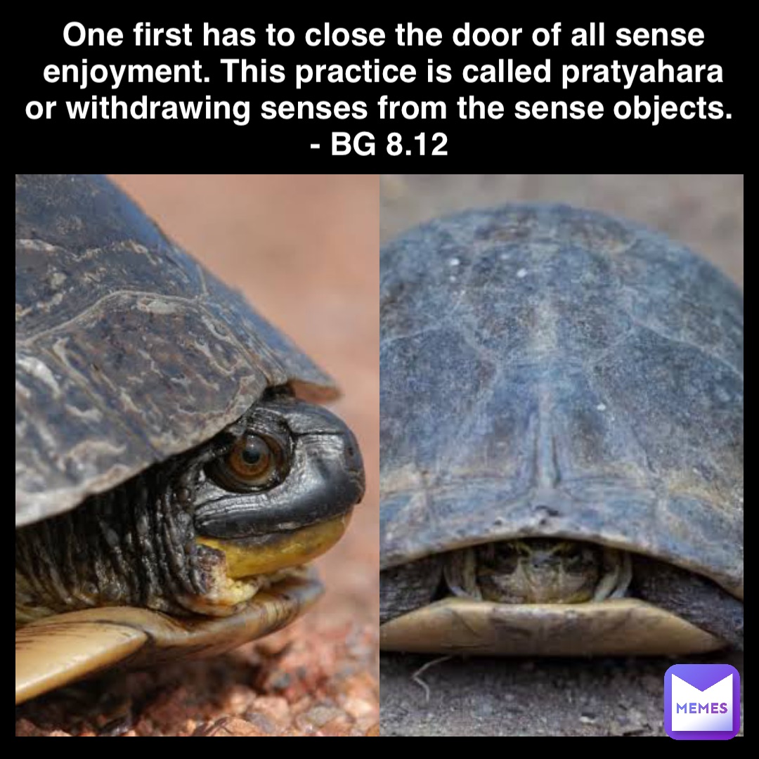 One first has to close the door of all sense enjoyment. This practice is called pratyahara or withdrawing senses from the sense objects.
- BG 8.12