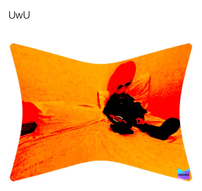 Meme by yeet_a_mos_maxamus