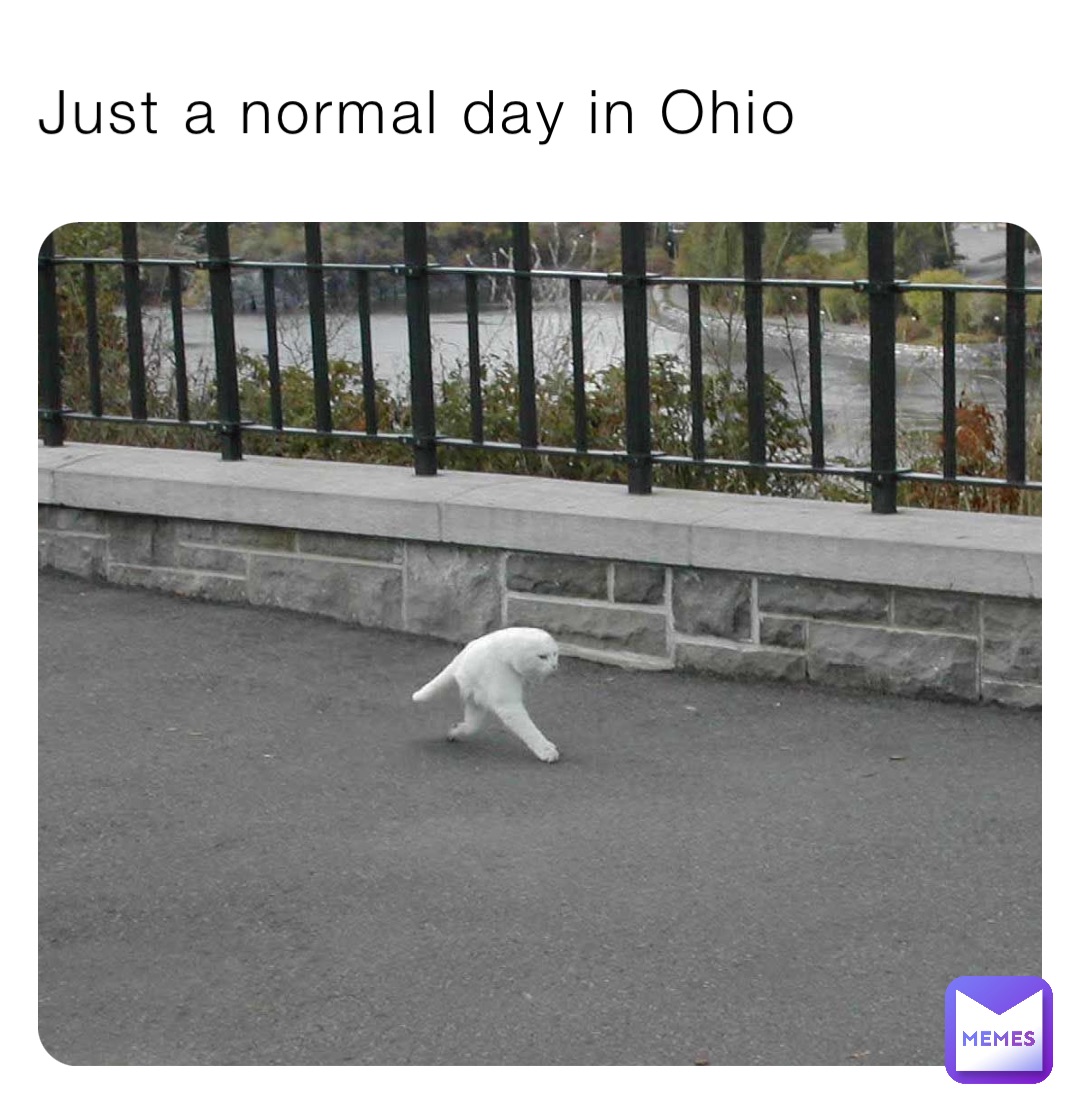 Just a normal day in Ohio