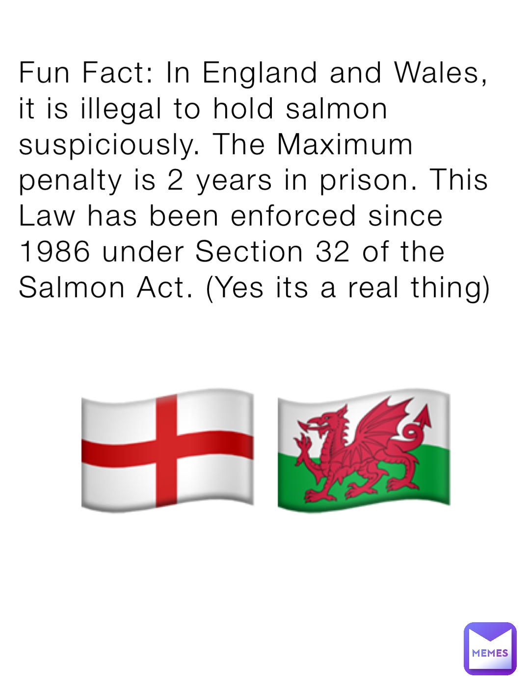 Fun Fact: In England and Wales, it is illegal to hold salmon suspiciously. The Maximum penalty is 2 years in prison. This Law has been enforced since 1986 under Section 32 of the Salmon Act. (Yes its a real thing) 🏴󠁧󠁢󠁥󠁮󠁧󠁿🏴󠁧󠁢󠁷󠁬󠁳󠁿