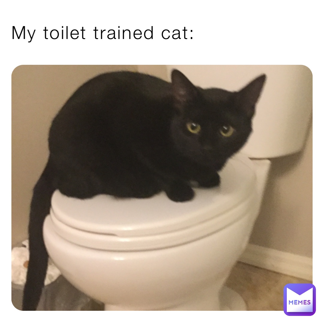 My toilet trained cat: