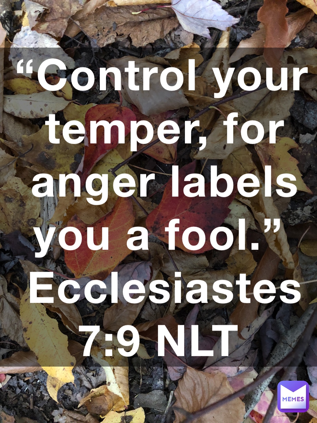 “Control your temper, for anger labels you a fool.”
‭‭Ecclesiastes‬ ‭7:9‬ ‭NLT‬‬