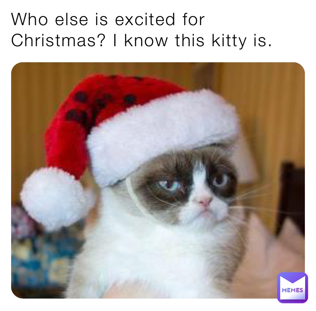holiday grumpy cat meme