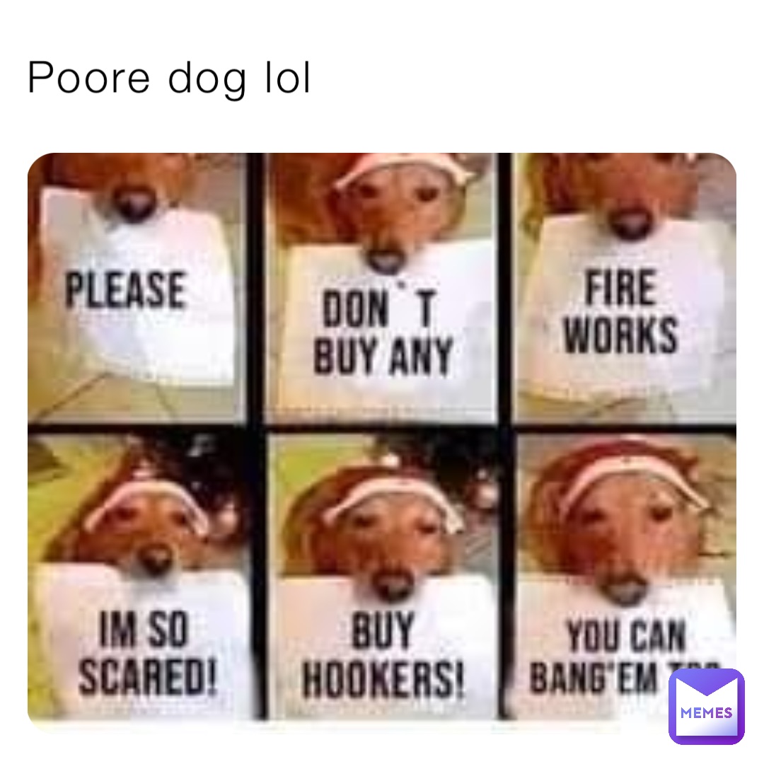 Poore dog lol