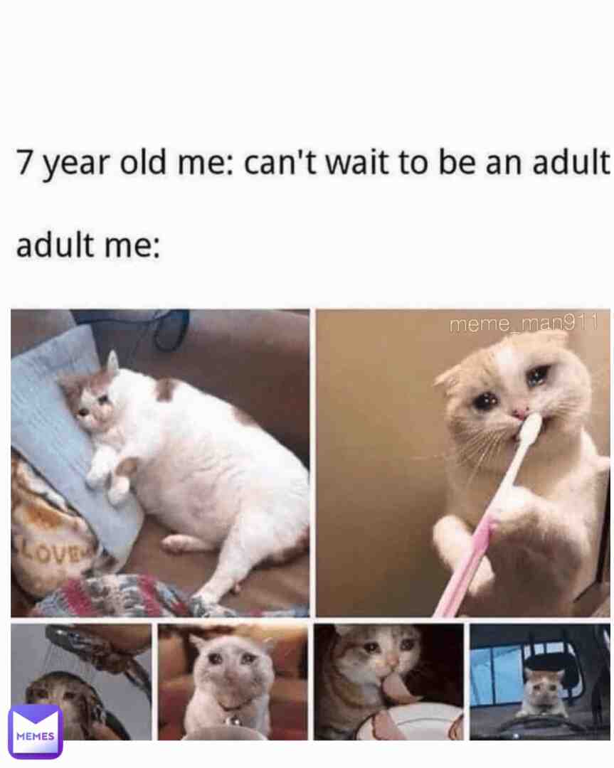 Meme shared by @meme_man911