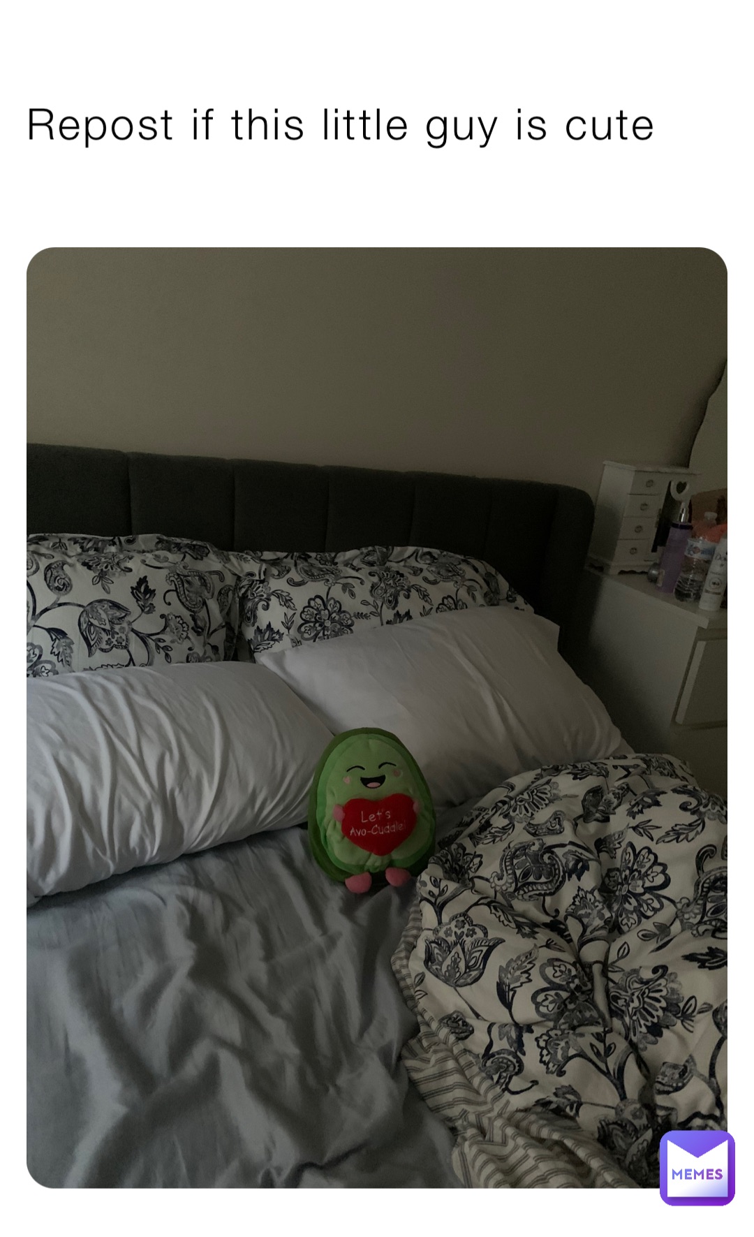 Repost if this little guy is cute