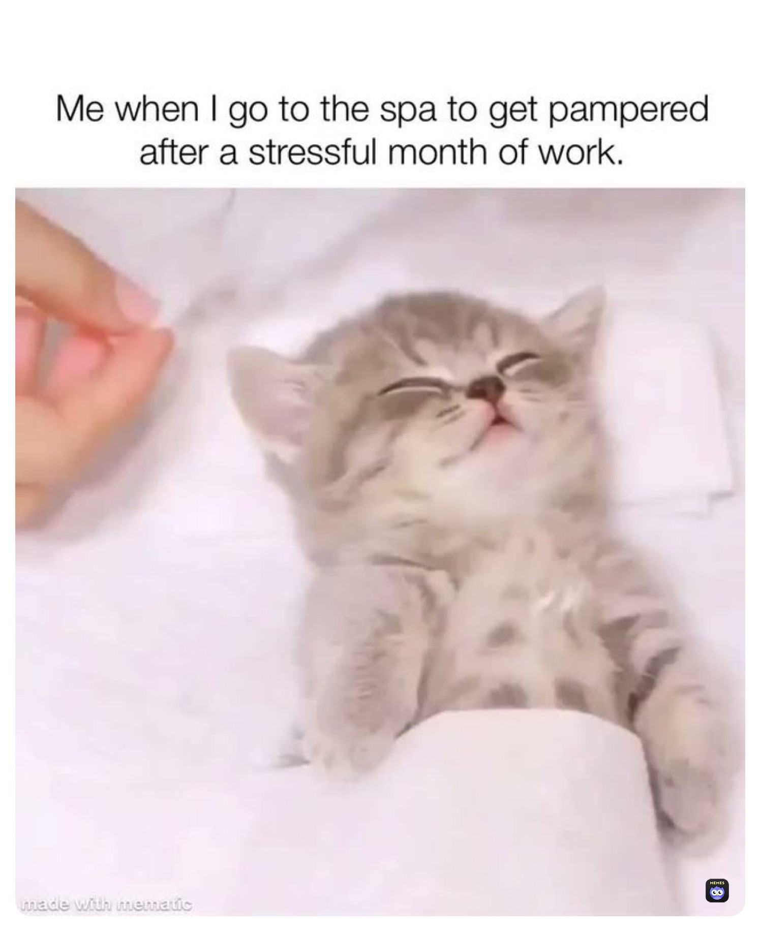 Meme by moon_light_wolf