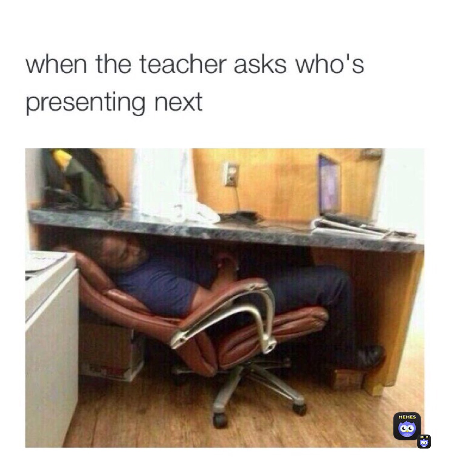 Meme by moon_light_wolf