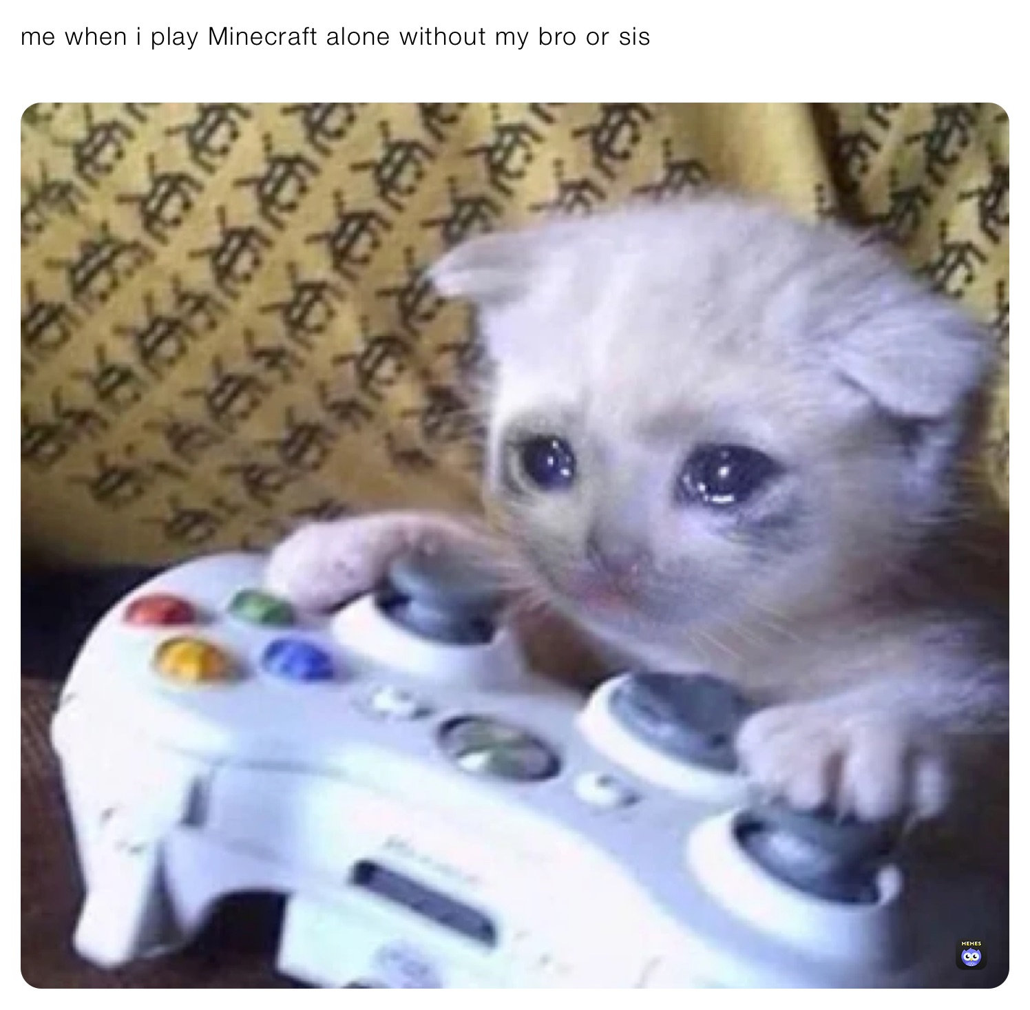 Meme by moon_light_wolf