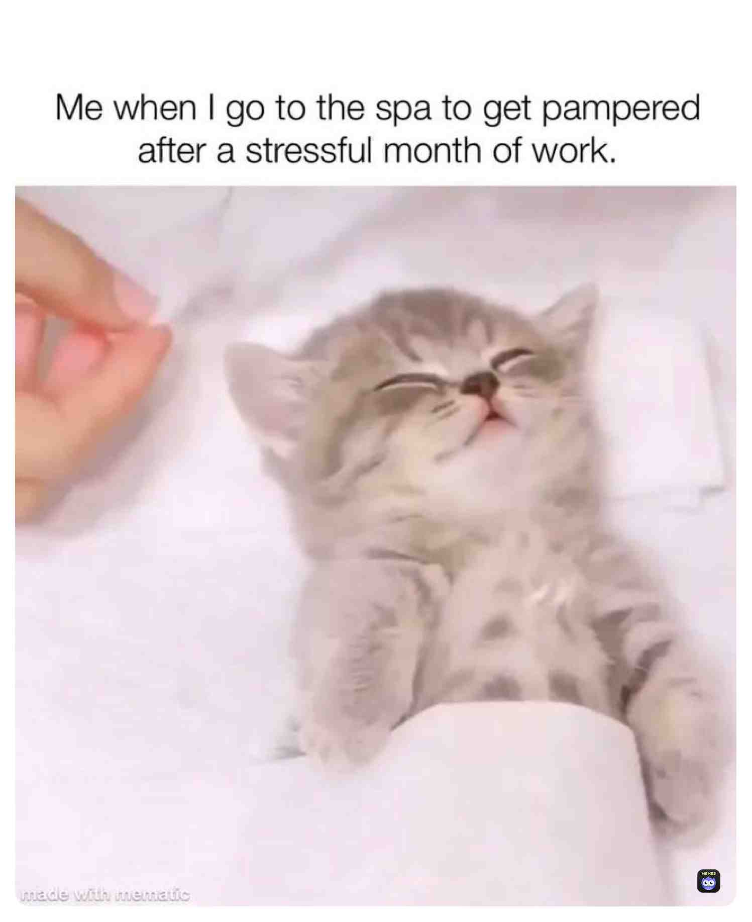 Meme shared by @moon_light_wolf