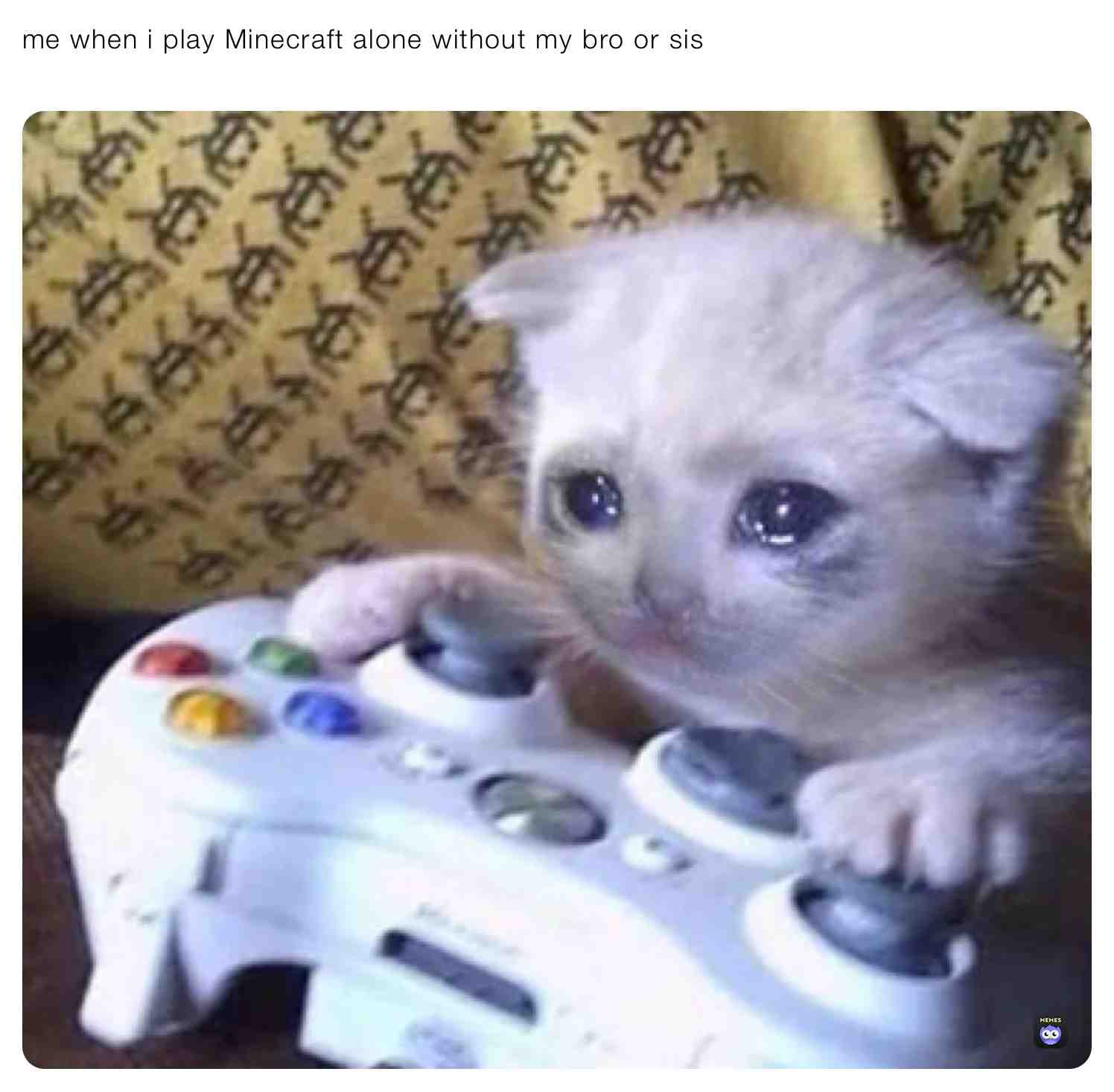 Meme shared by @moon_light_wolf