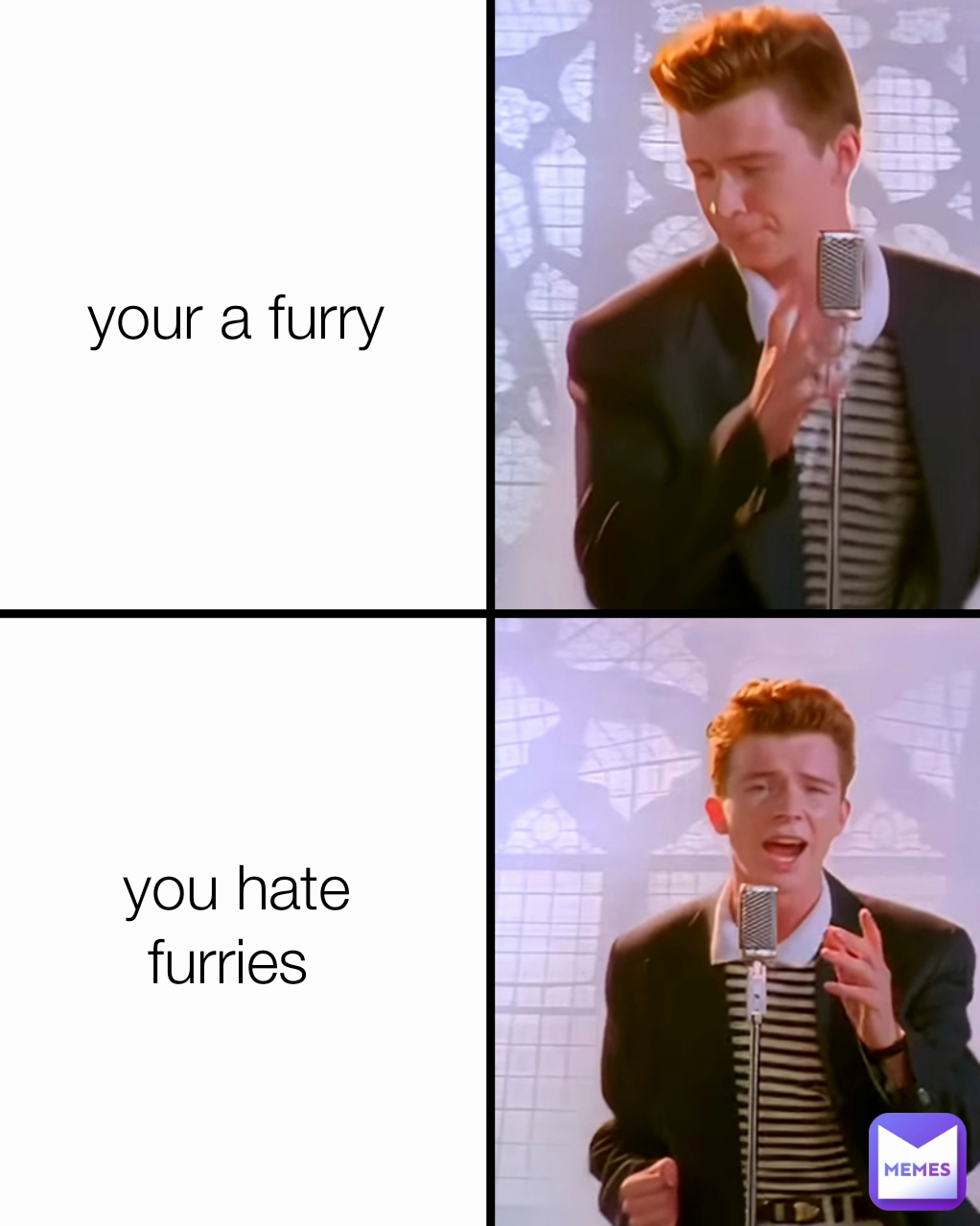 your a furry you hate furries 