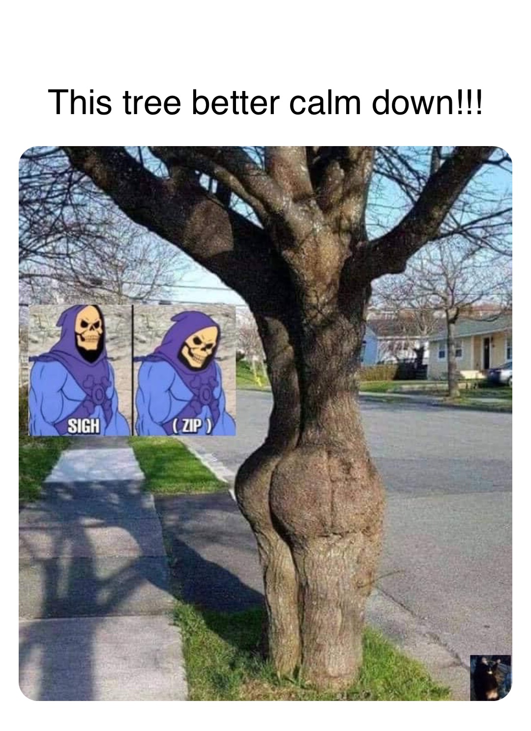 Double tap to edit This tree better calm down!!!