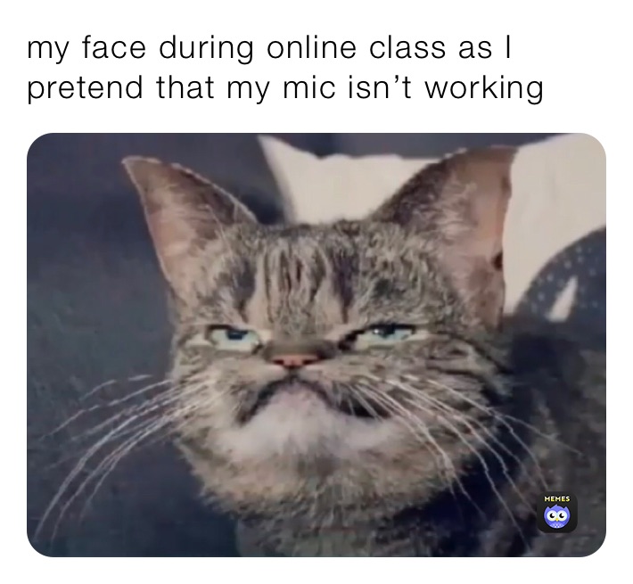 my face during online class as I pretend that my mic isn’t working