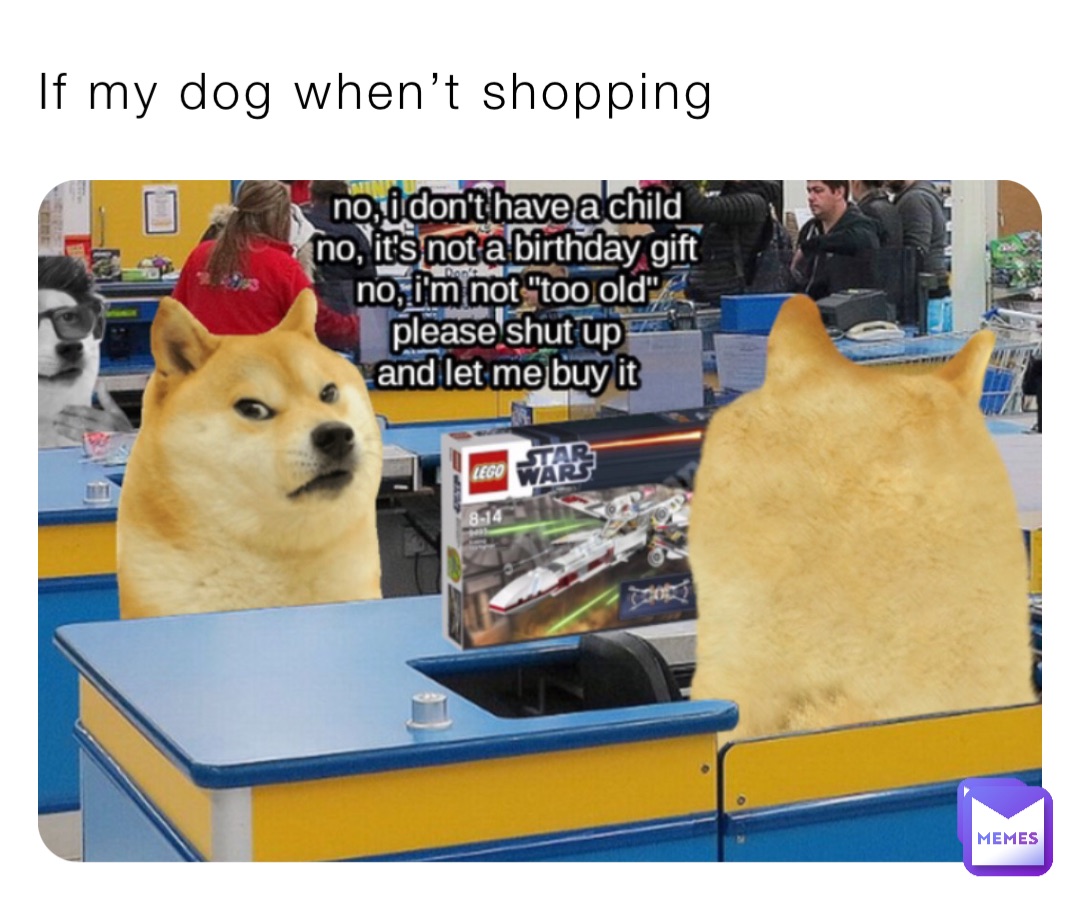 If my dog when’t shopping