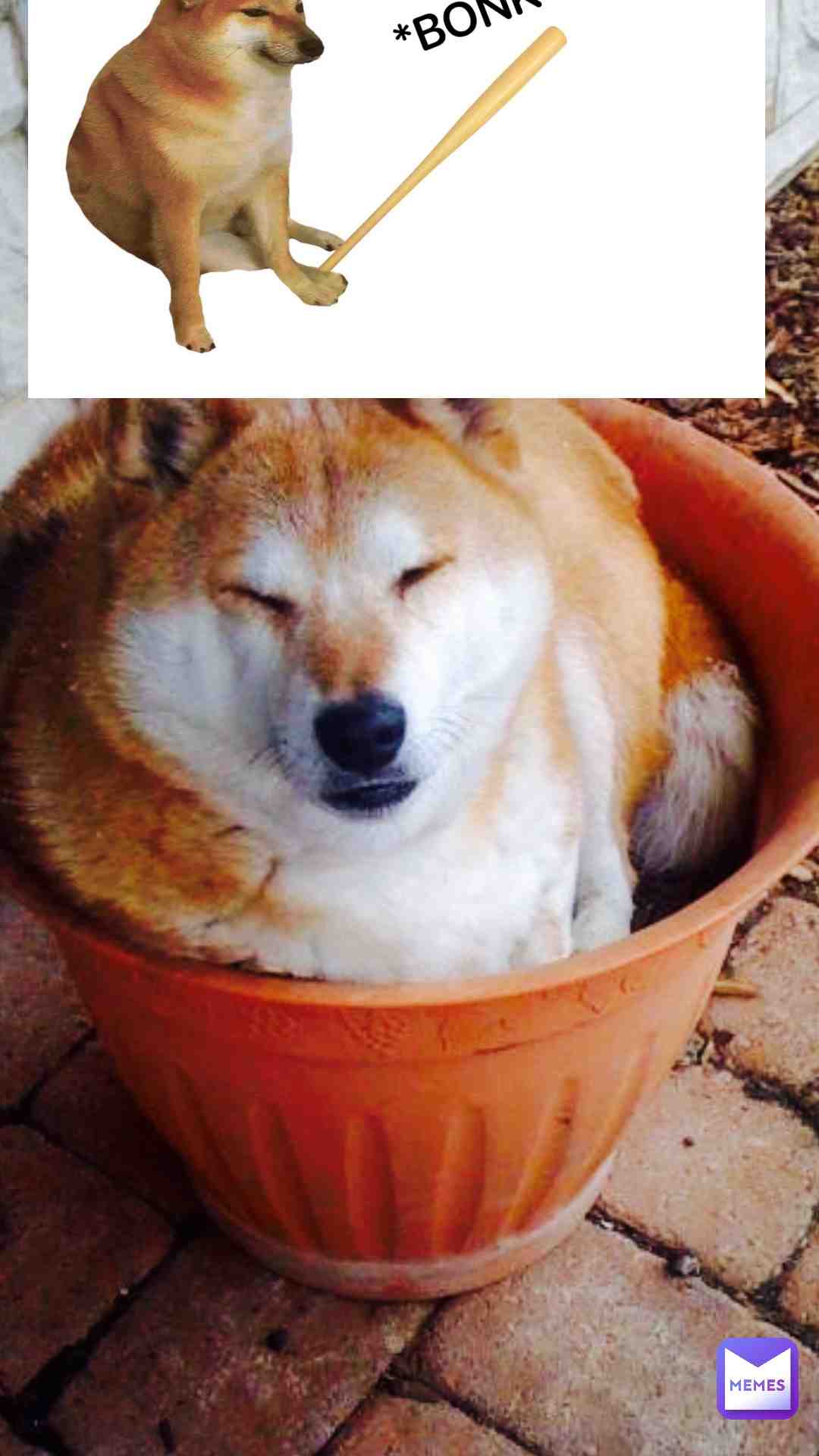 Meme shared by @loganpage