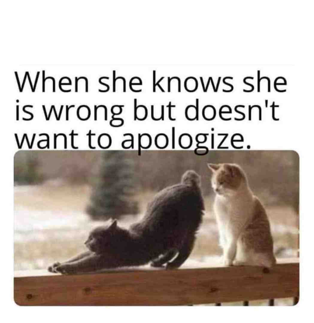 Meme shared by @yesnonomeme
