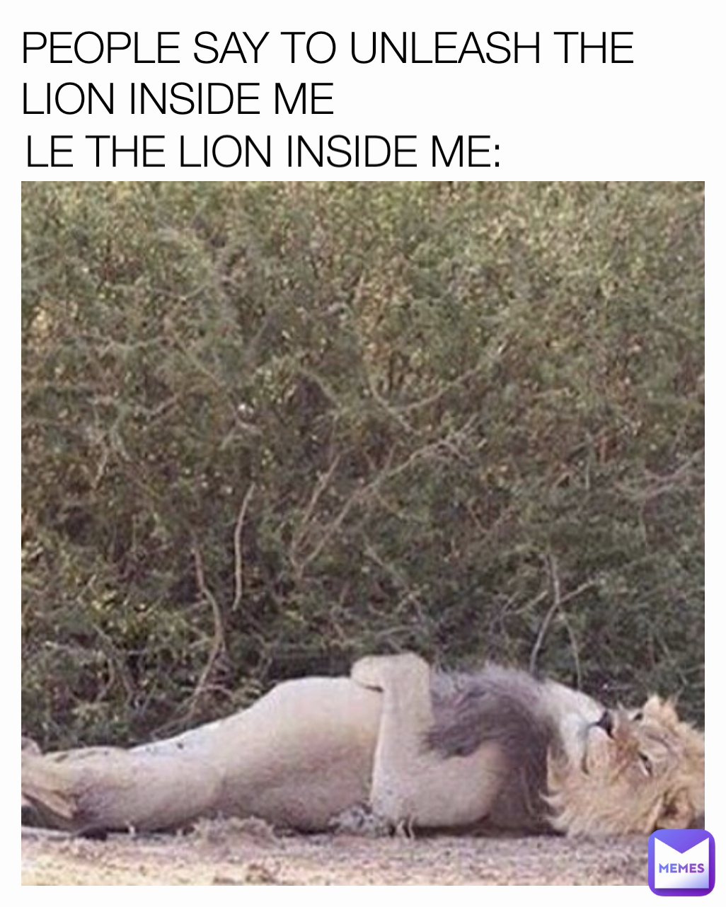 PEOPLE SAY TO UNLEASH THE LION INSIDE ME LE THE LION INSIDE ME: