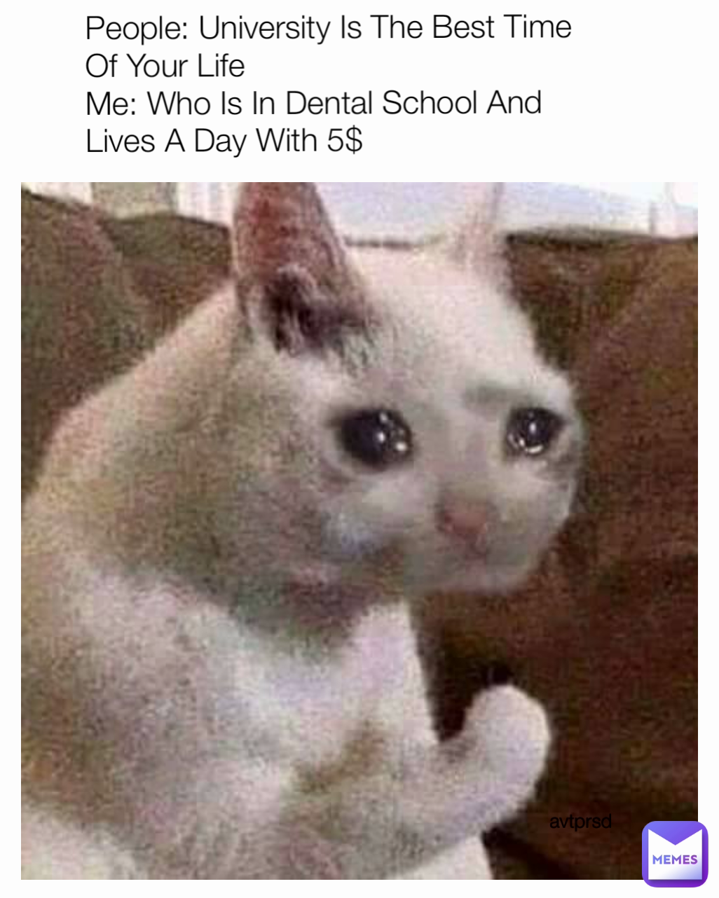 People: University Is The Best Time Of Your Life 
Me: Who Is In Dental School And Lives A Day With 5$ avtprsd