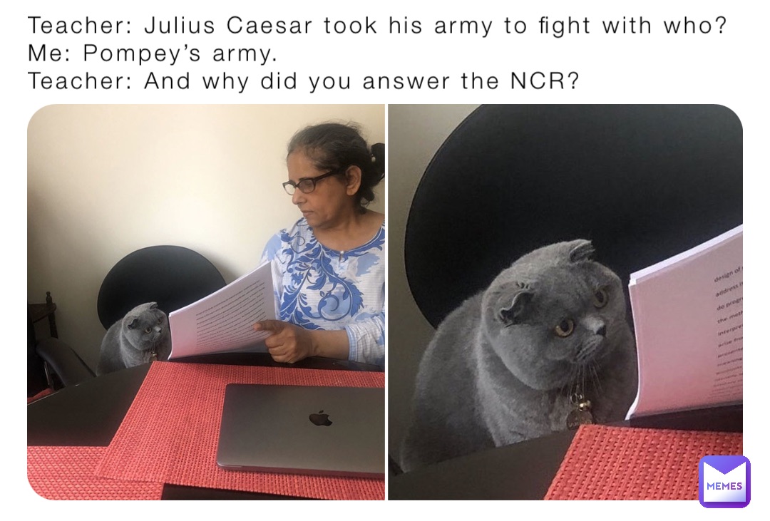 Teacher: Julius Caesar took his army to fight with who?
Me: Pompey’s army.
Teacher: And why did you answer the NCR?