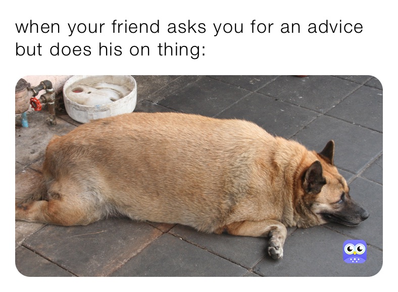 when your friend asks you for an advice but does his on thing: