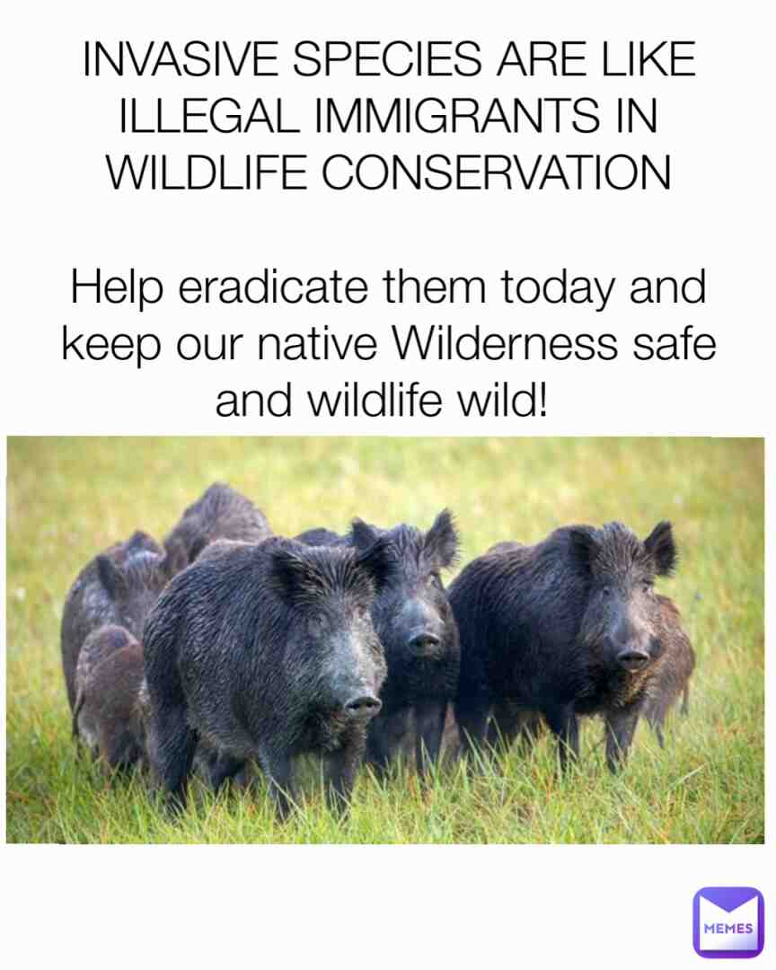 Meme shared by @wildlifeguyTyler