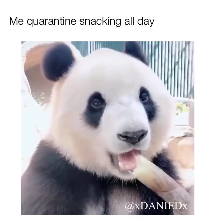 Me quarantine snacking all day!  #quarantine  #Snacks