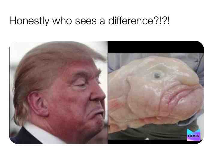 Comment if you do  #trump  #memes