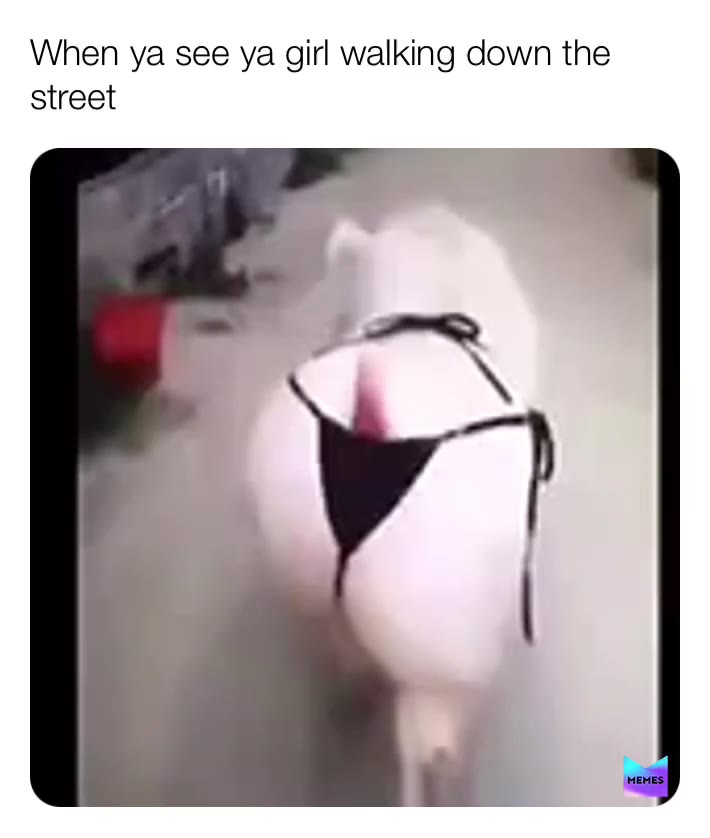 Oink  #peppapig  #memes