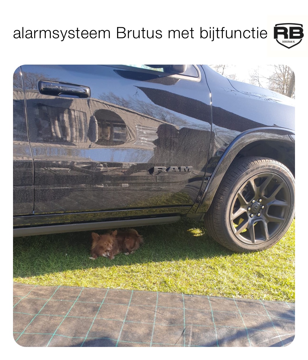 Meme by mrskastelijn