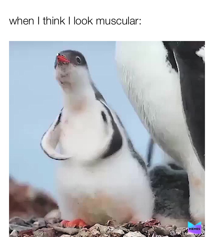 Meme by memes_we_need