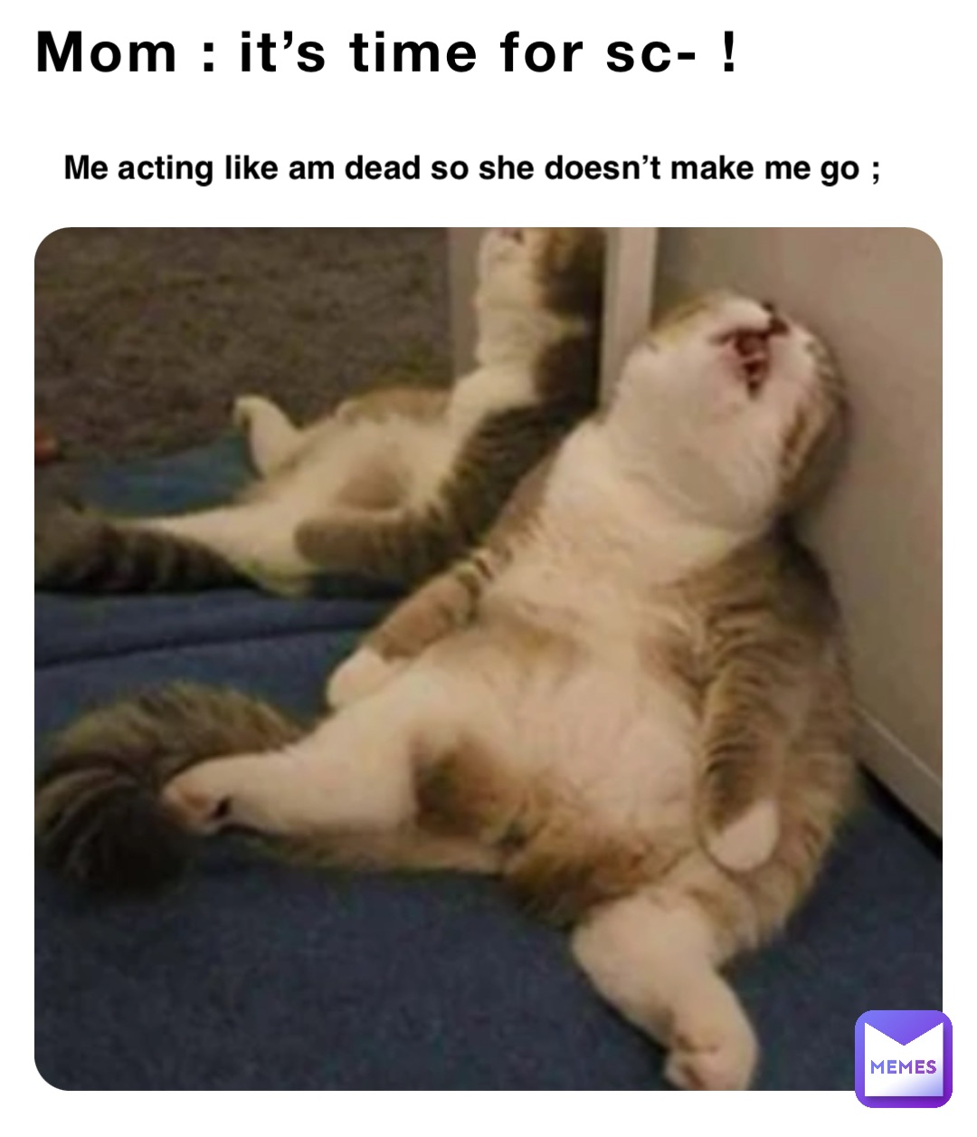 Meme by nickiminajdaqueen