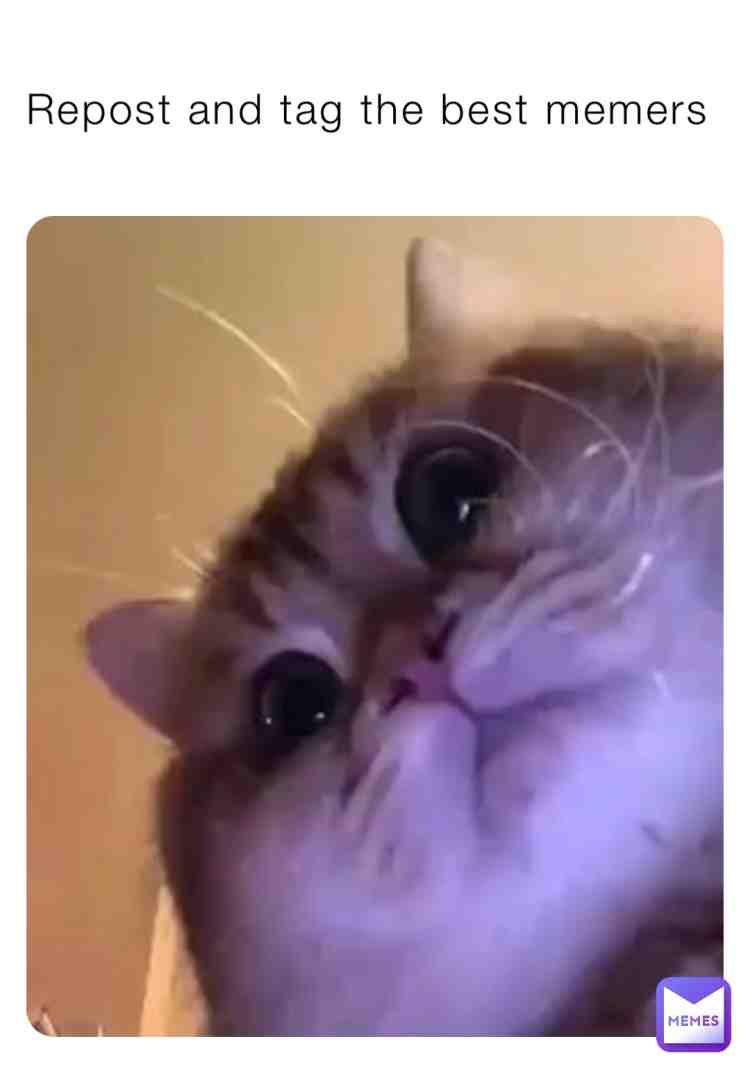 Meme preview