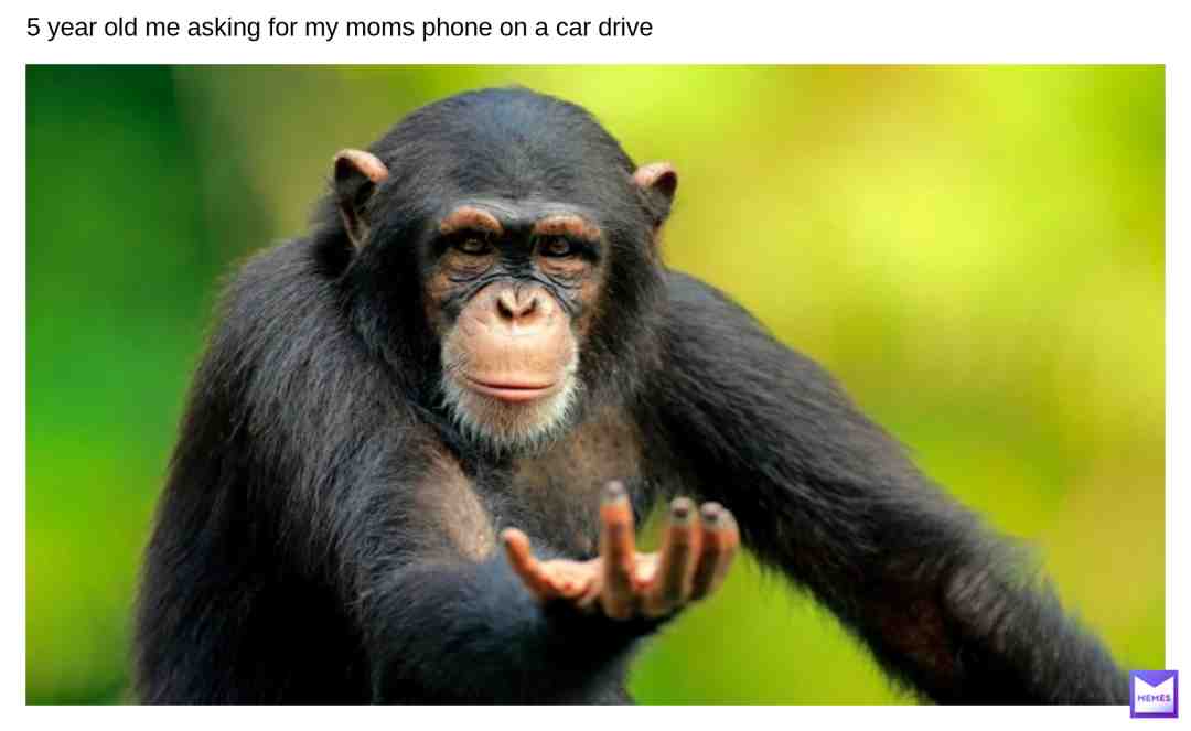 Meme preview