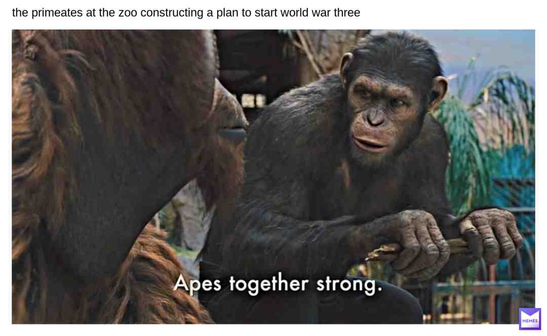Meme preview