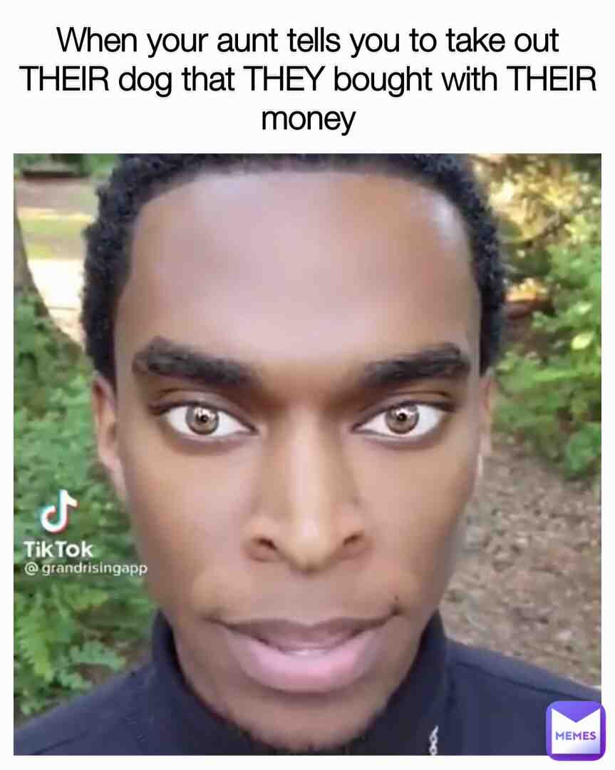 Meme preview