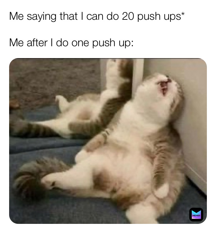 Meme by princesscici