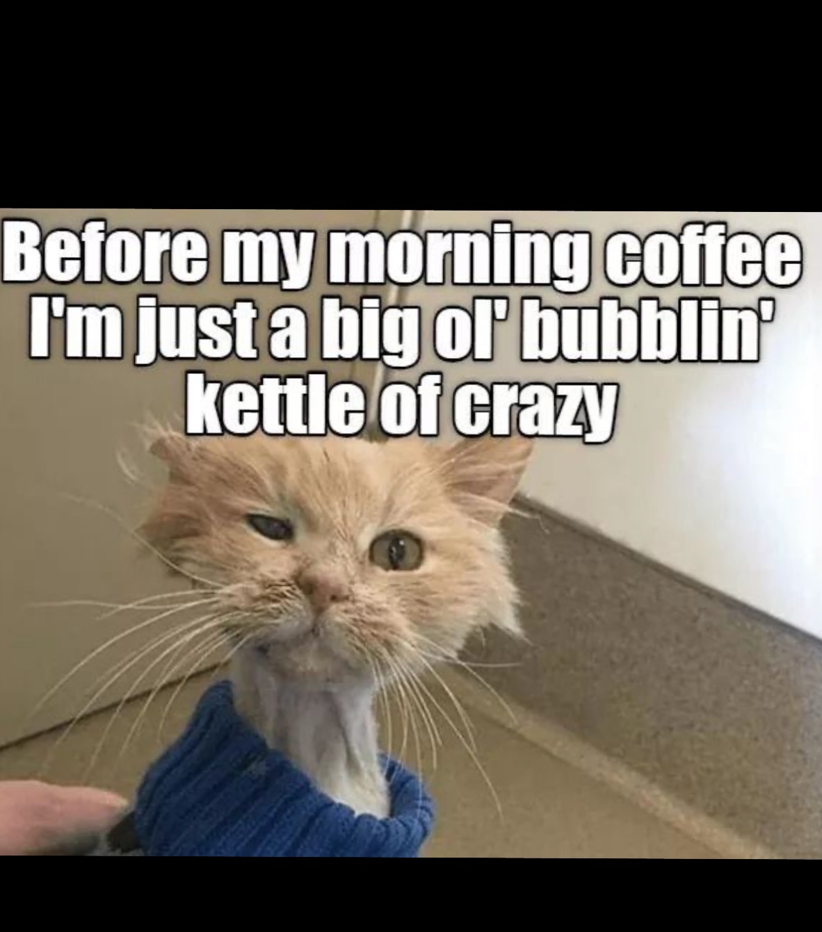 Meme by Daniah_the_baddie