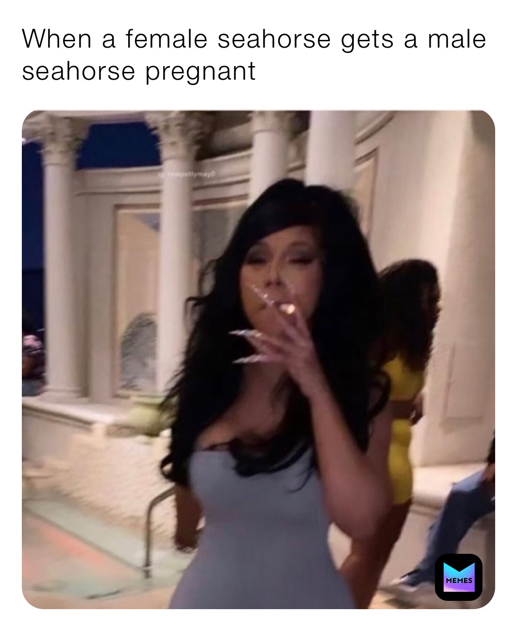 When a female seahorse gets a male seahorse pregnant 