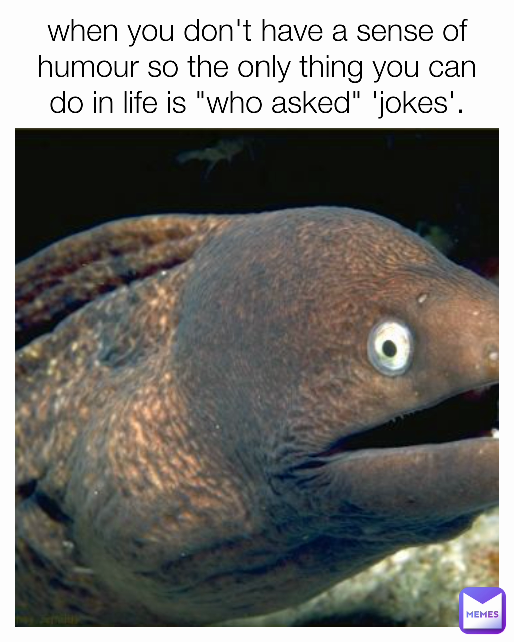 when you don't have a sense of humour so the only thing you can do in life is "who asked" 'jokes'.