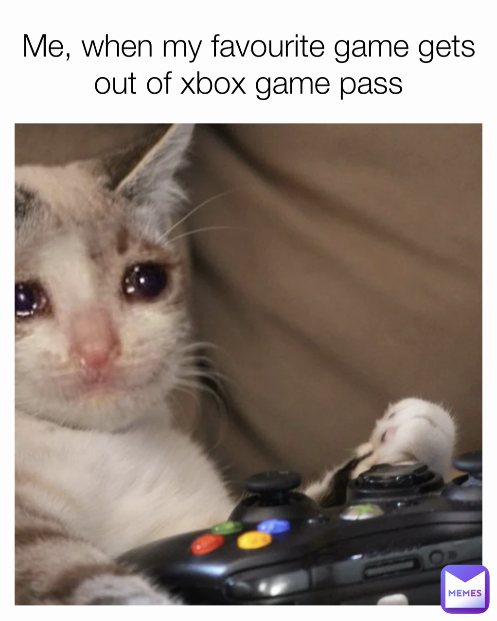 Me, when my favourite game gets out of xbox game pass