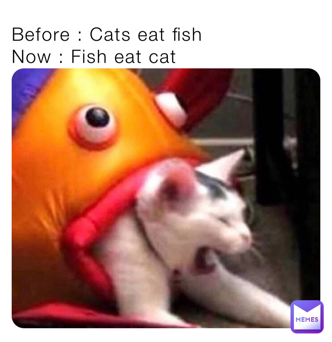 fish eating a cat