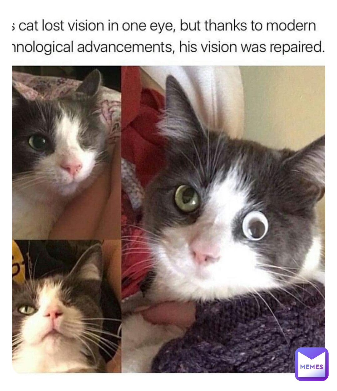 Double tap to edit