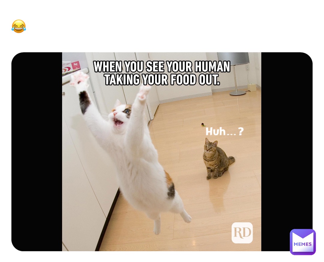 😂 Huh…?