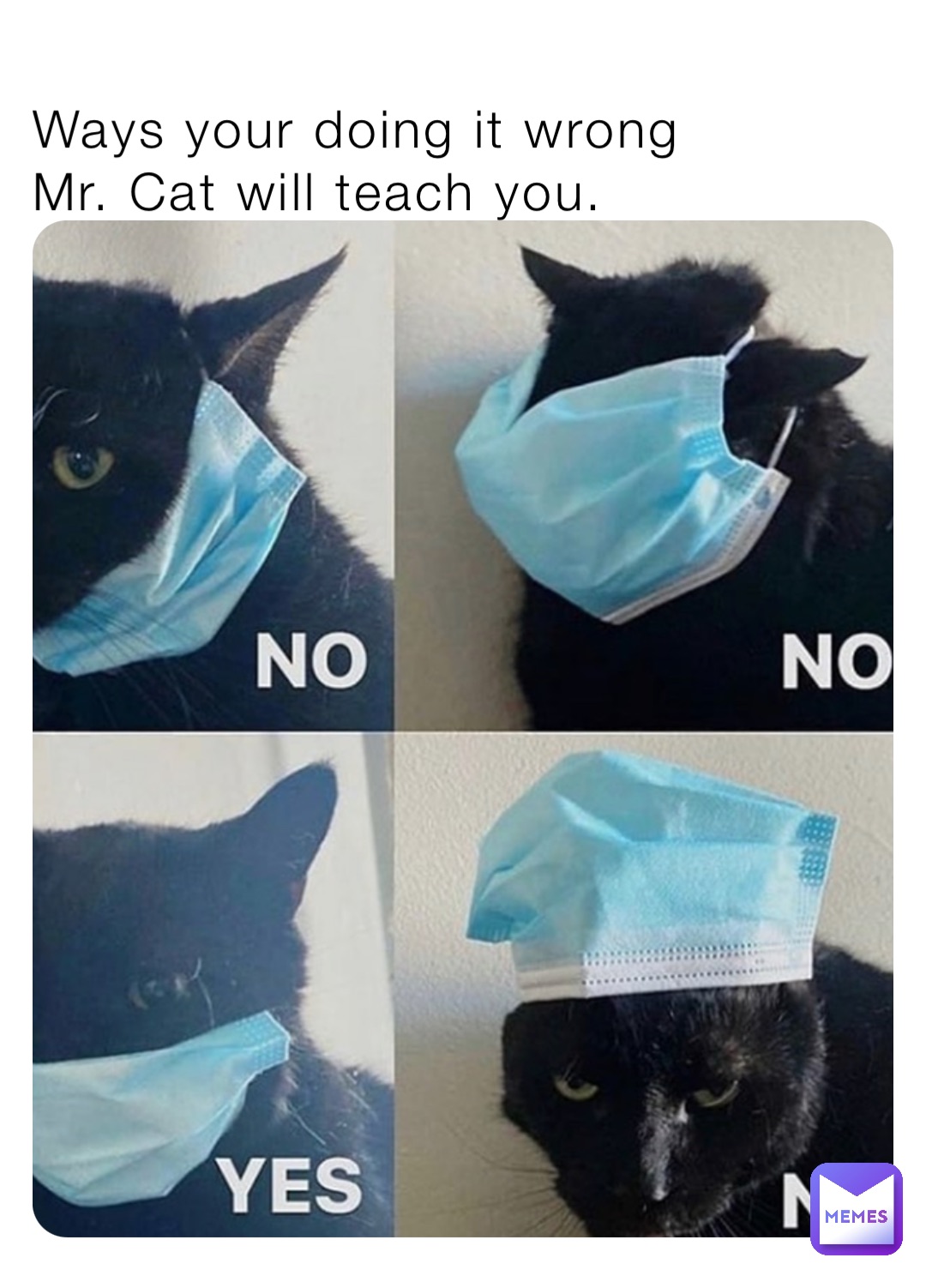 Ways your doing it wrong 
Mr. Cat will teach you.