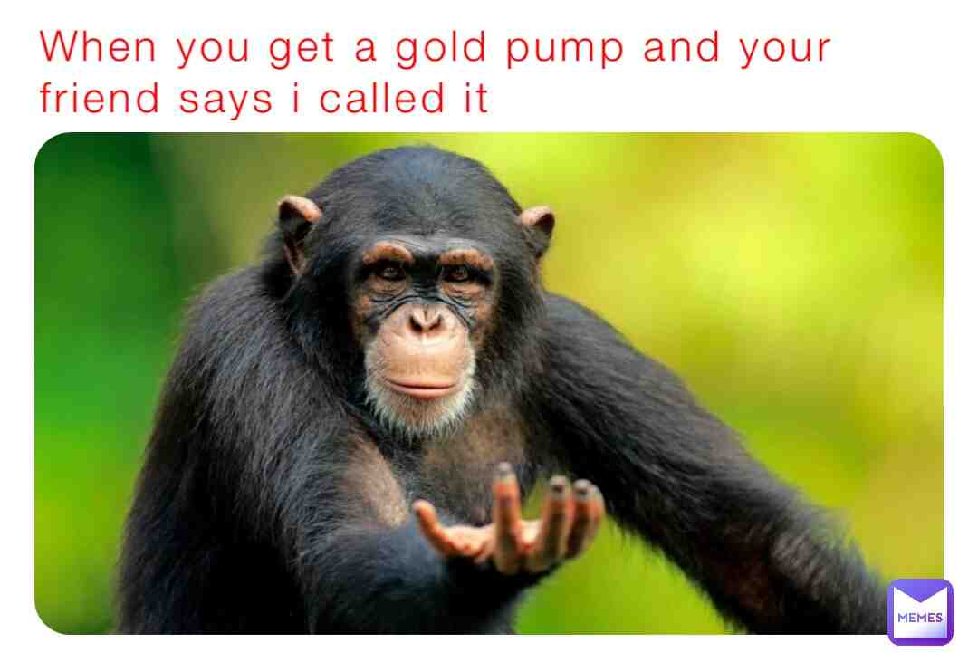 Meme shared by @pheonix_rizzler