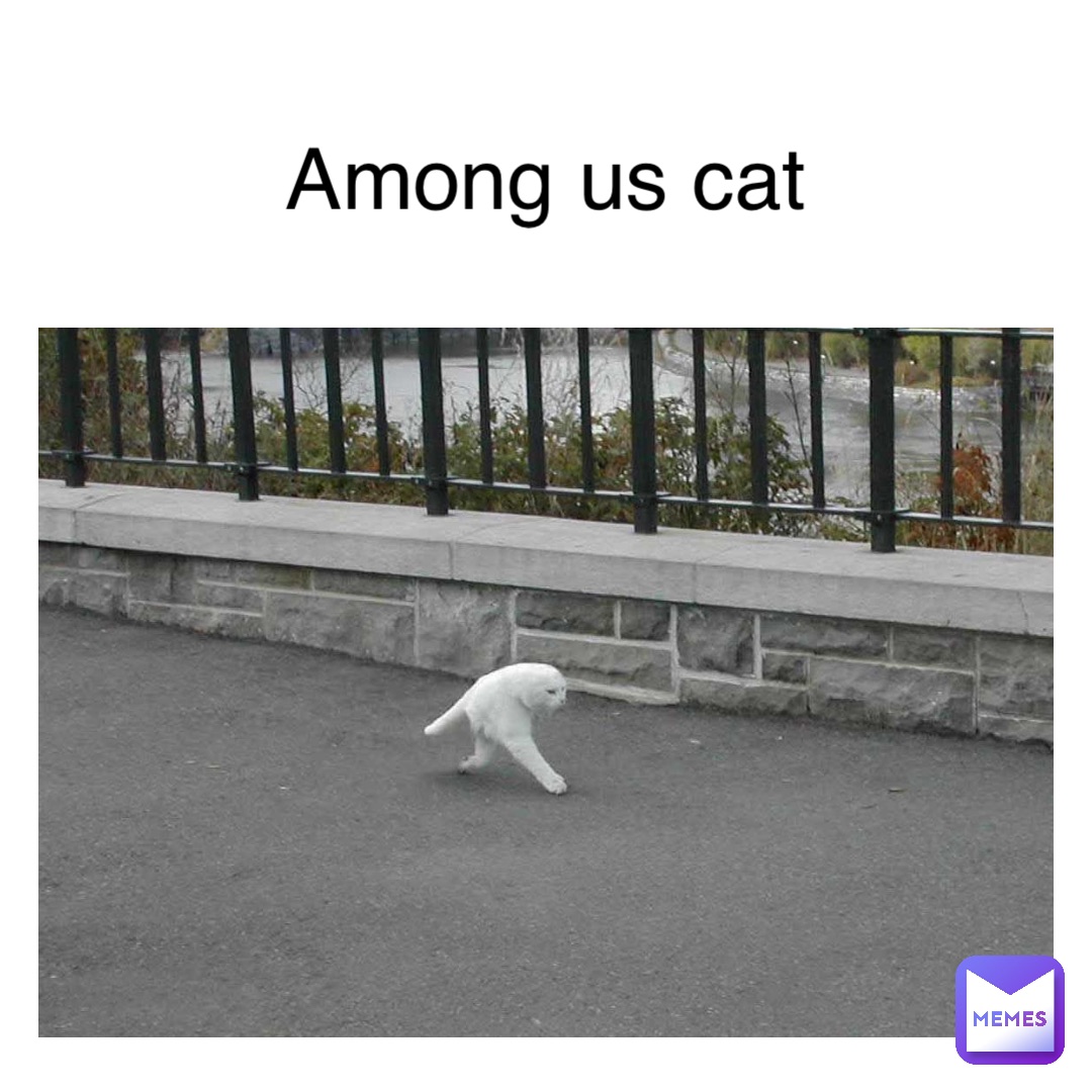 Among us cat