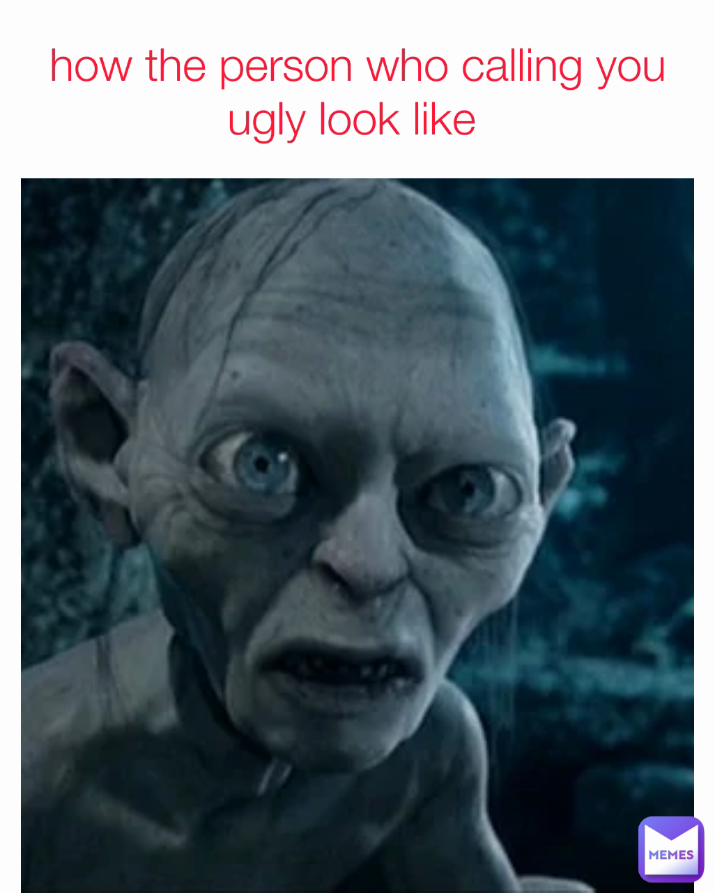 how the person who calling you ugly look like | @wendyadam120 | Memes