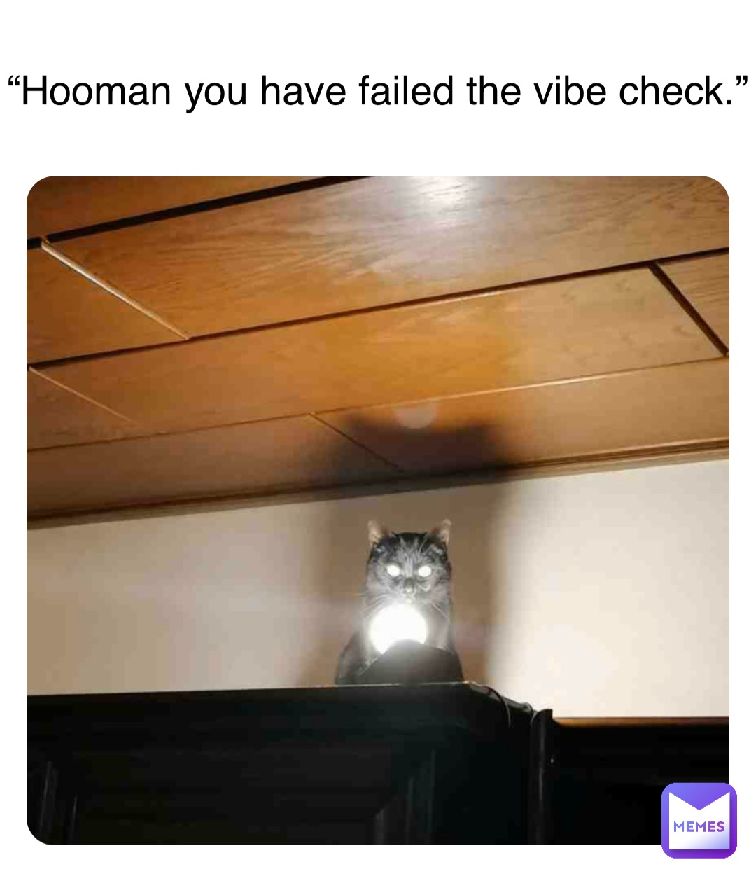 “Hooman you have failed the vibe check.”