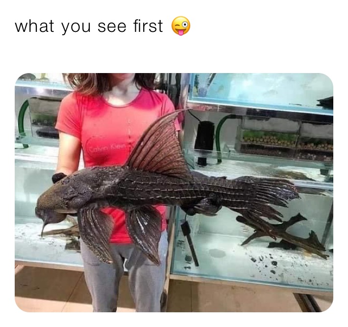 what you see first 😜
